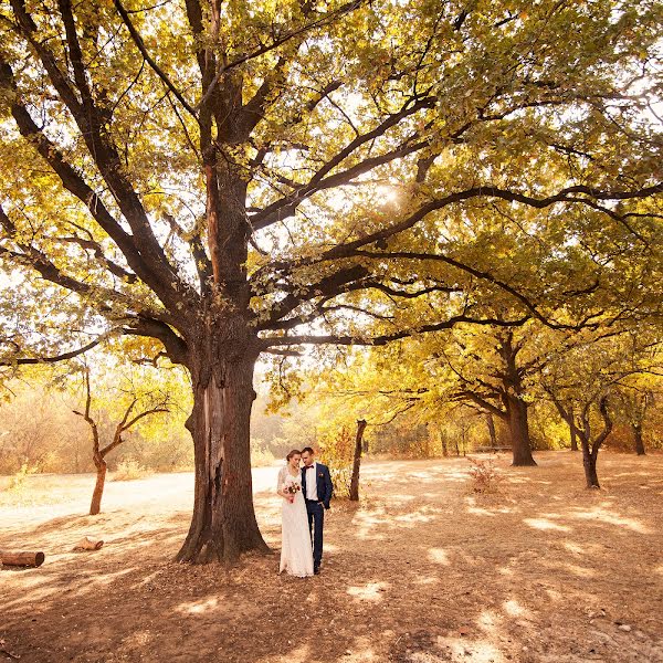 Wedding photographer Valeriya Sytnik (sytnick). Photo of 17 October 2015