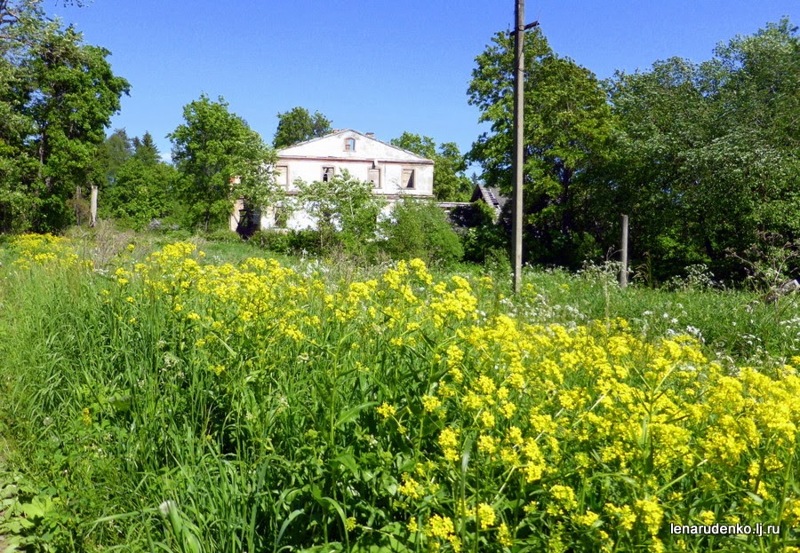 Село губино. Д Губино Калужская область. Губино Воскресенский район. Село Губино Калужской области. Д.Губино Козельский район Калужская область.