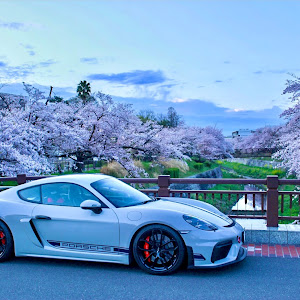 ケイマン GT4