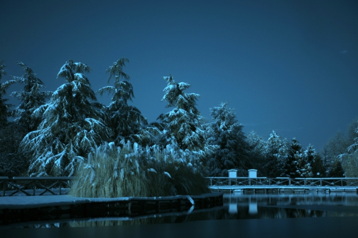 La neve nel cuore di bucefalo