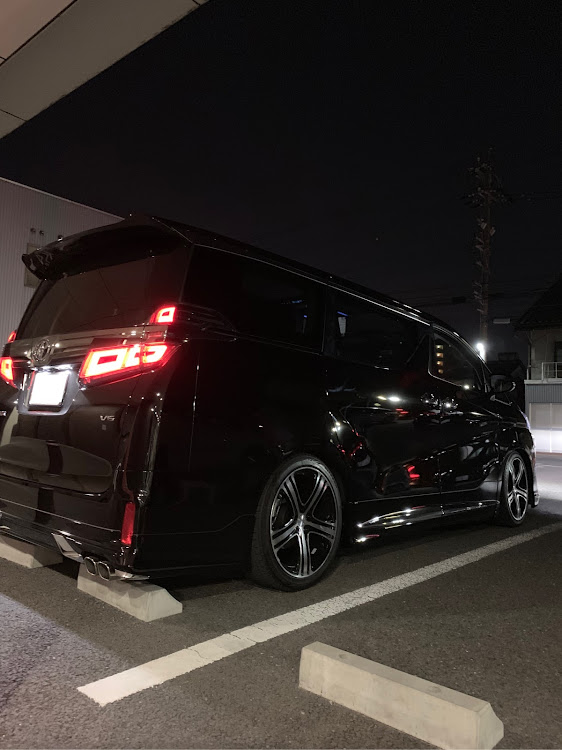 ヴェルファイアのヴェルファイア・アルヴェル・車高調・Mercedes-Benz・ミラクルストロークアジャスターに関するカスタム事例の投稿画像1枚目