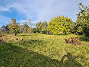 terrain à Avallon (89)