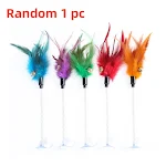 Random-1pc