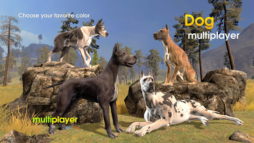 Dog Multiplayer : Great Dane (Mod)