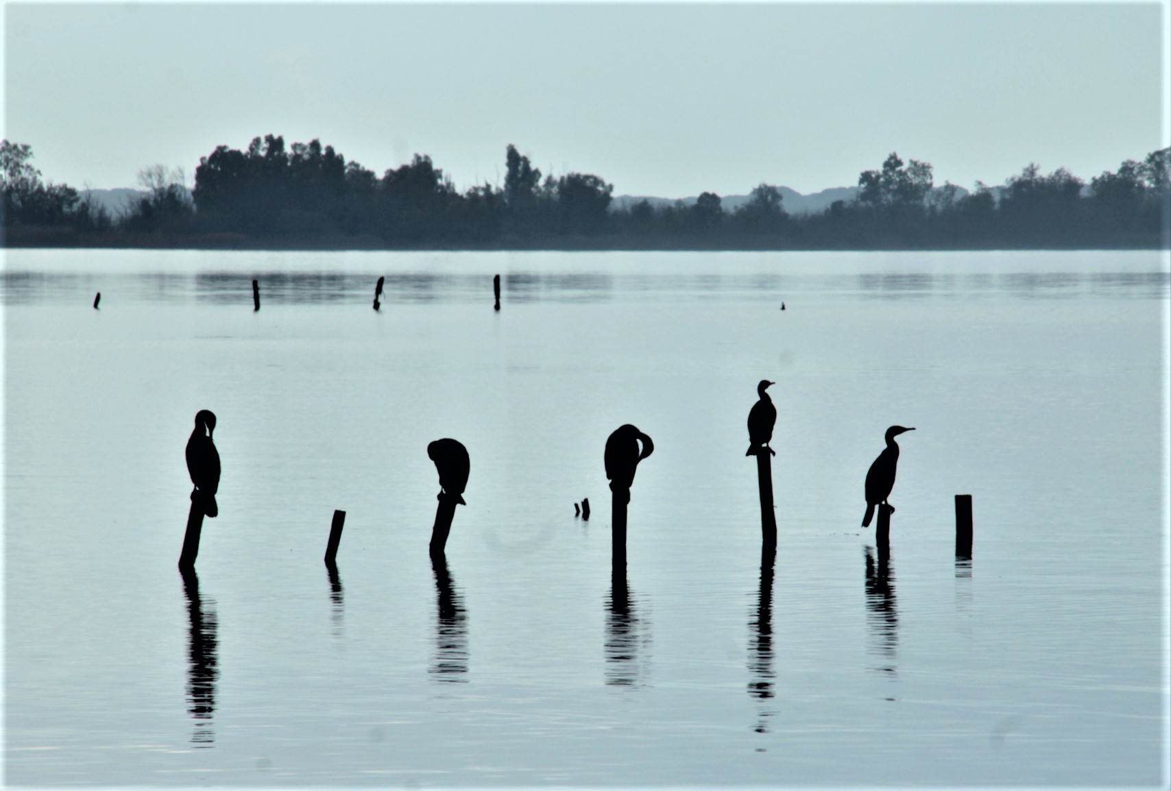 sul lago di pilotto