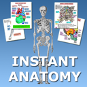 Instant Anatomy