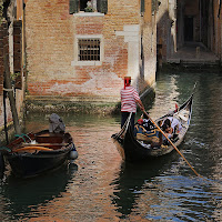 Riflessi veneziani di 