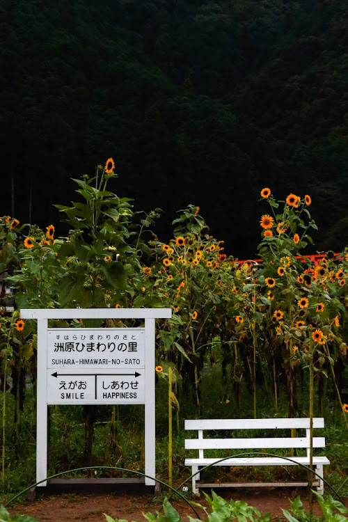 の投稿画像3枚目