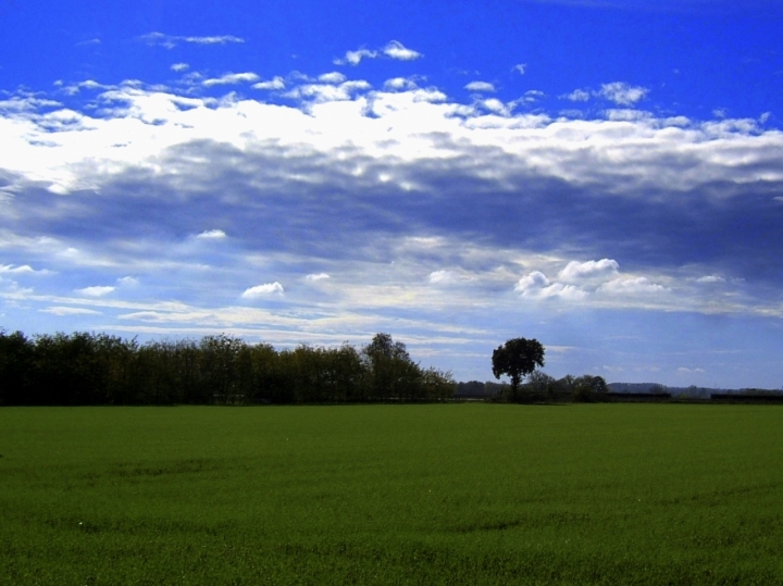 Arriverà il sereno di adele