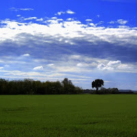 Arriverà il sereno di 