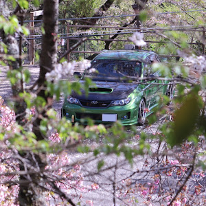 インプレッサ WRX STI GVB