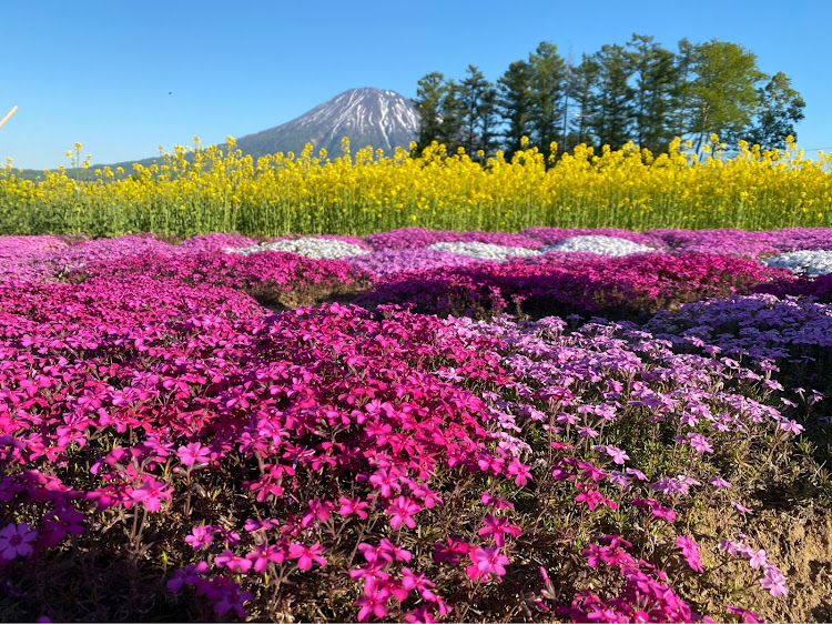 の投稿画像1枚目