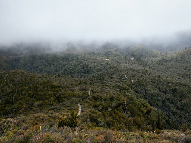 Pinnacles Walk Summit Coromandel