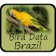 Bird Data - Brazil Install on Windows