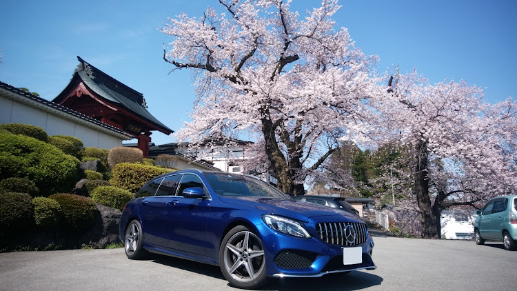 Cクラス ステーションワゴンの桜に関するカスタム事例の投稿画像1枚目
