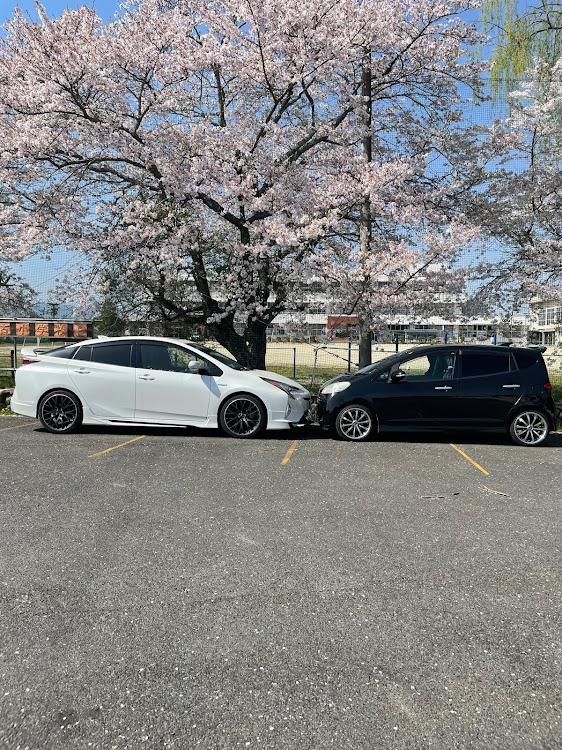 ソニカのソニカと桜・SCANIAトレーラー・愛車達と桜に関するカスタム事例の投稿画像2枚目