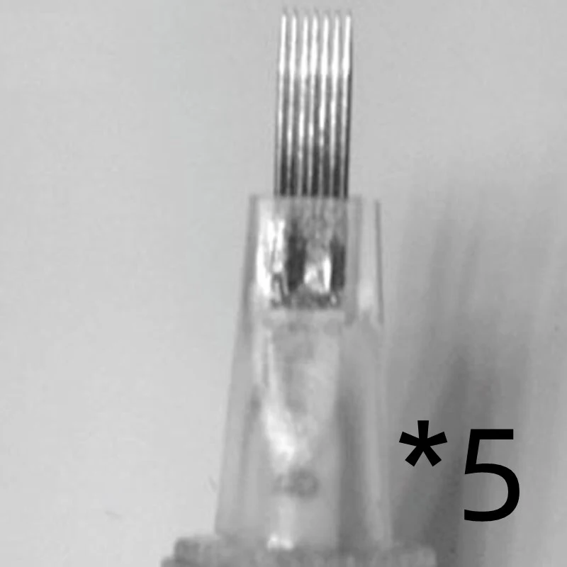 Elektrische Microneedle met Nano-silicium voor Effectieve Gezichtsverjonging Vermindert Rimpels en Stimuleert Collageen Professionele Anti-aging Behandeling