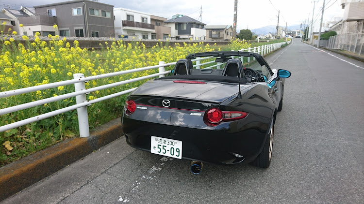 ロードスターの犬・ポメラニアン・菜の花と愛車・オープンカーはいいぞ〜・電車とコラボに関するカスタム事例の投稿画像5枚目