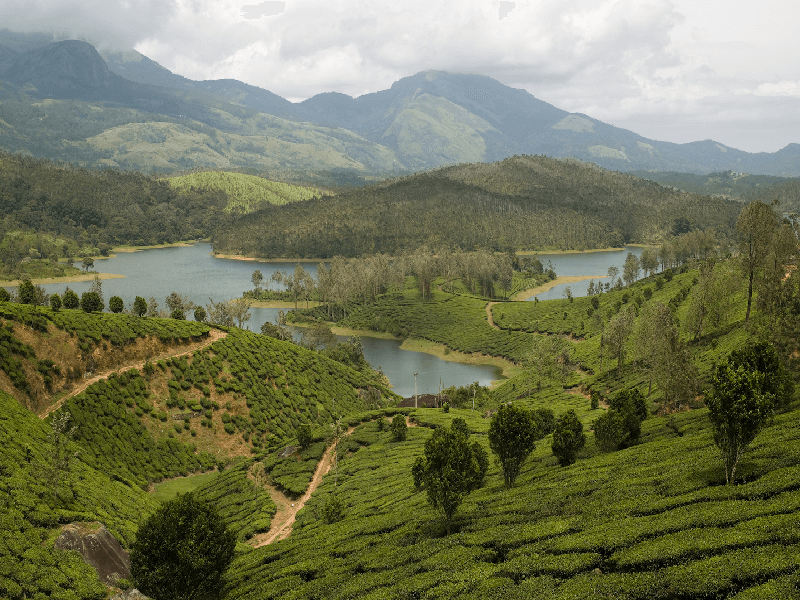 Yelagiri hills is one of the most scenic places and is only 160 kms away. It makes for the best weekend getaways from Bangalore. 