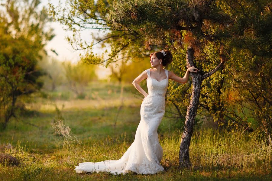 Fotógrafo de bodas Ayk Oganesyan (hayko). Foto del 24 de enero 2016