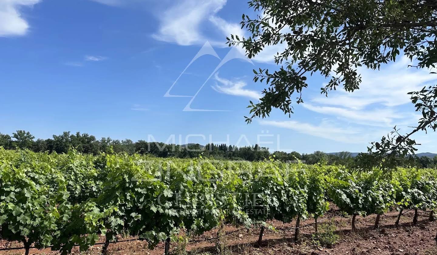 Vineyard Pierrefeu-du-Var