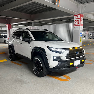 RAV4 AXAH54