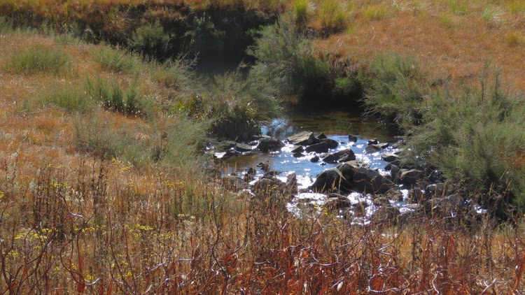 The Verloren Vallei Ramsar site lies adjacent to the new Ramsar-proclaimed Die Berg Nature Reserve in Mpumalanga.