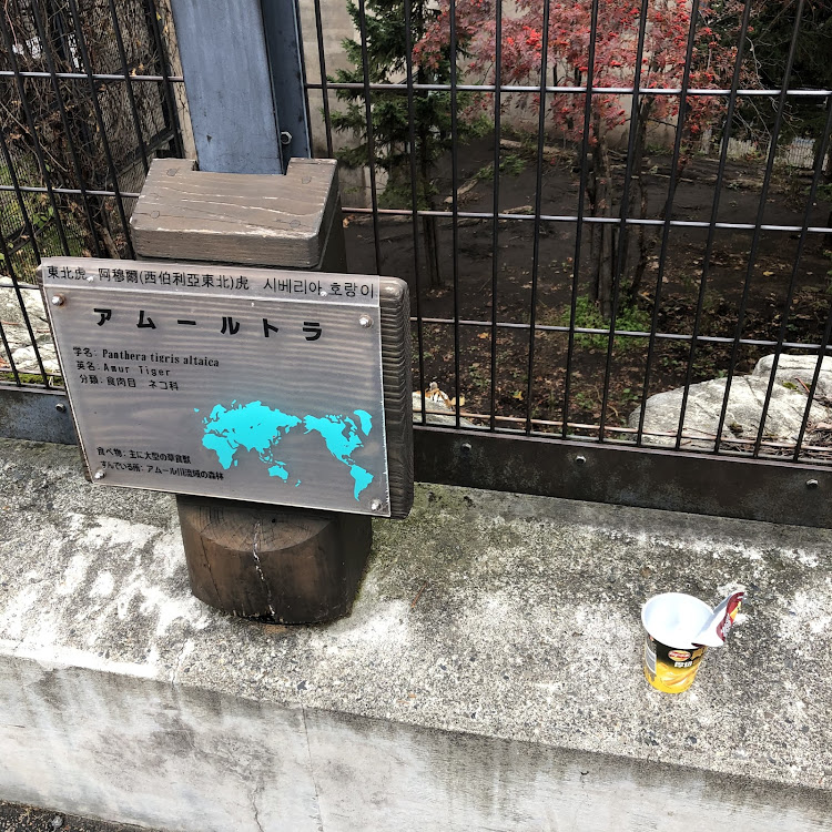 ワゴンRスティングレーのドライブに関するカスタム事例の投稿画像4枚目