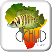 Cichlid Heaven MOD