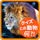 Download 動物クイズ 〜この動物の名前は？〜 For PC Windows and Mac 1.0.0