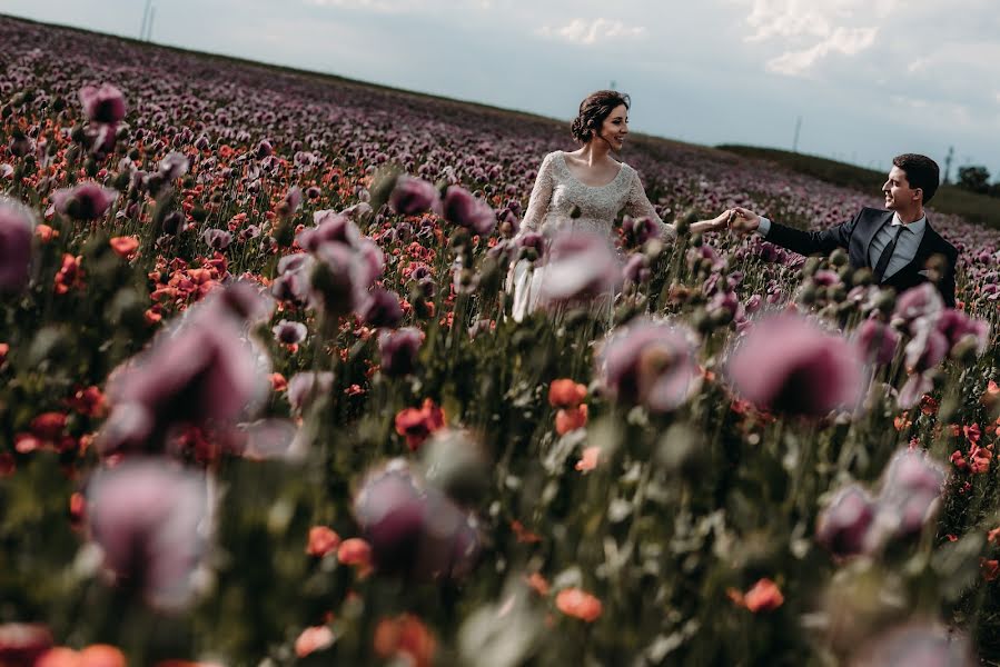 Bryllupsfotograf Strahinja Babovic (babovic). Bilde av 23 juni 2019