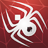 Spider Solitaire icon