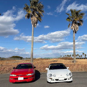 カレン ST206