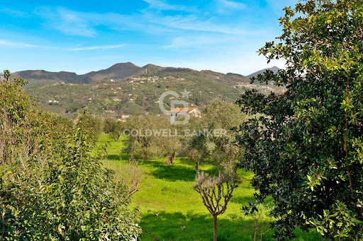 Villa avec jardin et terrasse 3
