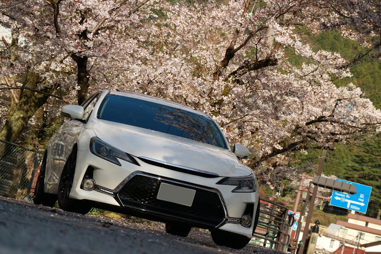 マークX G'sのルーミーカスタム・カムリ・桜・コラボ・徳佐八幡宮に関するカスタム事例の投稿画像10枚目