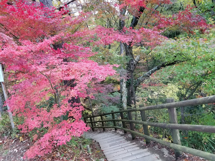 エキシージ Sの天竜峡に行ってきた・紅葉がイイ感じ・そらさんぽ天竜峡・十割そば・運転席の窓がガタガタいう！に関するカスタム事例の投稿画像10枚目