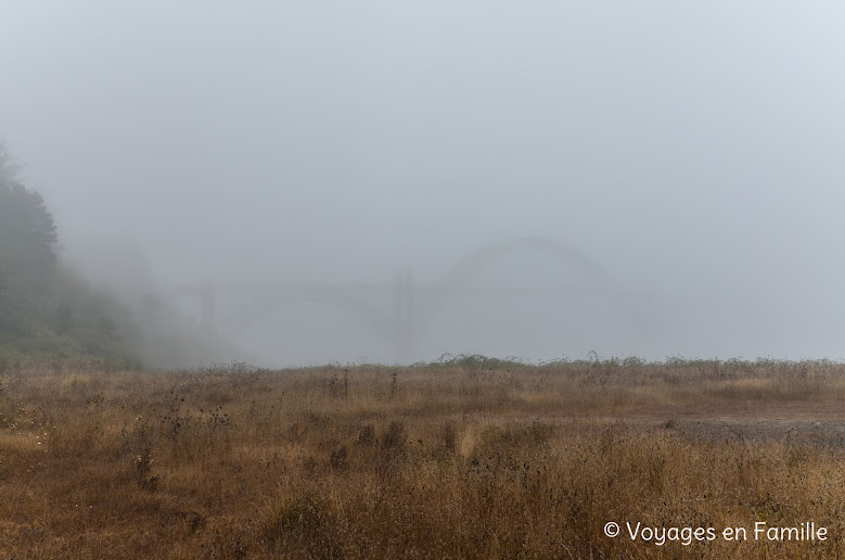 Yaquina bay 