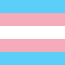 Item logo image for Trans Flag