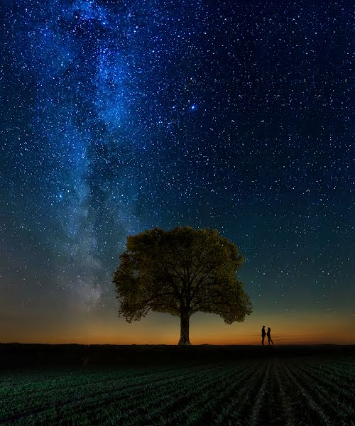 Fotógrafo de bodas Aleksandr Zhosan (alexzhosan). Foto del 23 de julio 2016