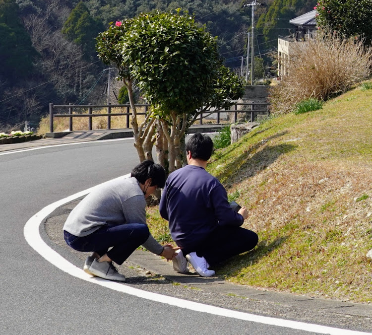 の投稿画像26枚目