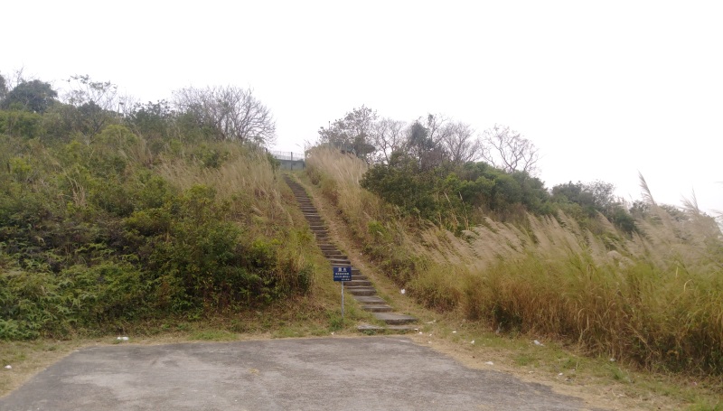 馬草壟麥景陶碉堡