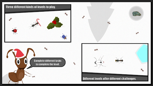 Screenshot Ant Evolution Forever : Squash