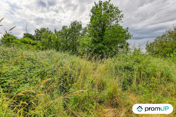 terrain à Epineuil-le-Fleuriel (18)