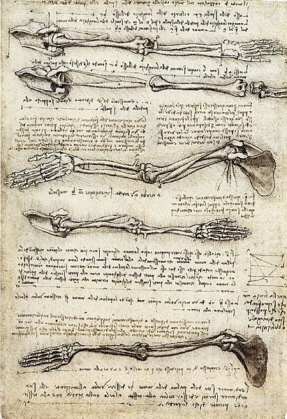 Image showing the skeletal structure of five arms, with text between many of the arms. The page is roughly half text and half arms.
