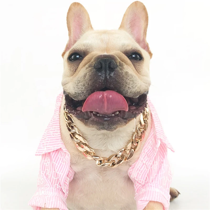 Collier pour Chien Doré avec Fermoir Chaîne, pour Chiens Petits et Moyens, Ornement Collier pour Animaux de Compagnie.