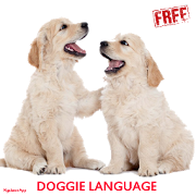Dog  Body Language 1.1 Icon