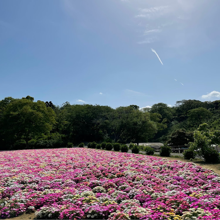 NV100クリッパー リオのいつもイイネ&コメントありがとうございます🙇‍♂️・ドライブ・東京ドイツ村・エブリイワゴンに関するカスタム事例の投稿画像2枚目