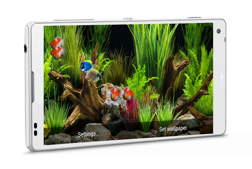免費下載個人化APP|Goldfish Aquarium LWP app開箱文|APP開箱王