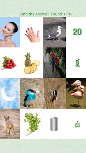 Flashcards Telugu Lesson(圖4)-速報App