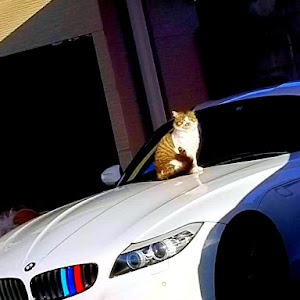 Z4 ロードスター